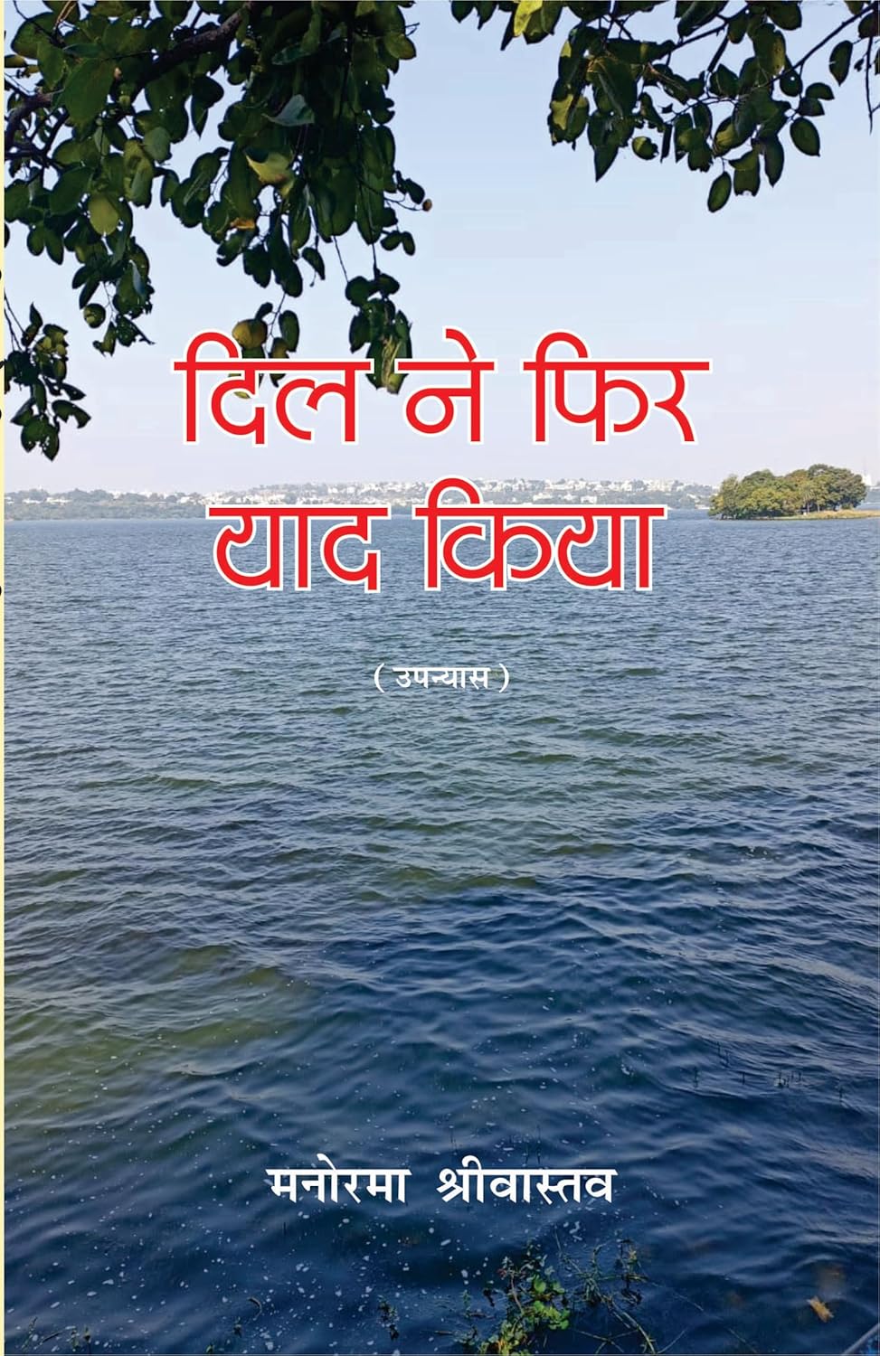 Dil Ne Fir Yaad Kiya